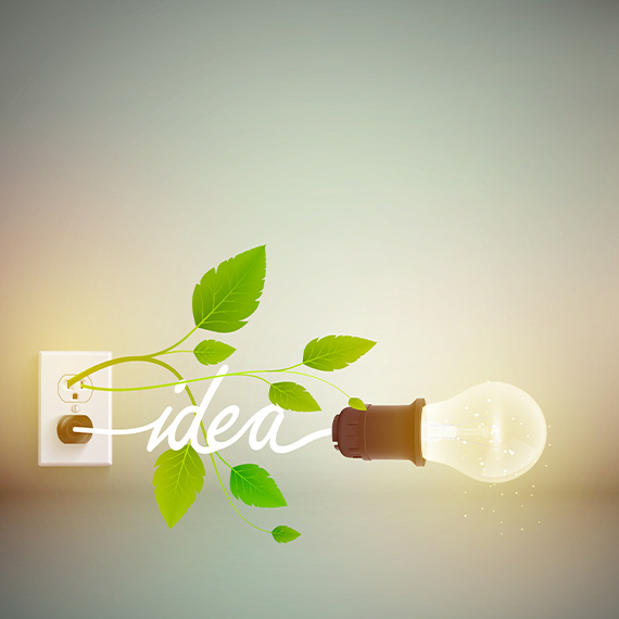 portfolio img